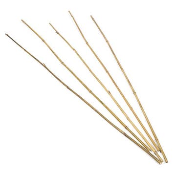 Plantenstok | Nature | 120 cm | 5 stuks (Ø 10/12 mm, Bamboe), Tuin en Terras, Planten | Tuinplanten, Verzenden