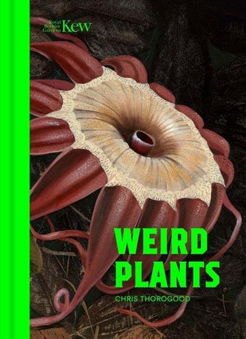 9781842468562 Weird Plants Chris Thorogood, Verzenden, Nieuw, Chris Thorogood