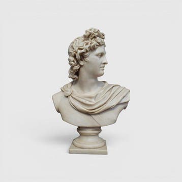 sculptuur, Busto Apollo del Belvedere - 46 cm - Marco di