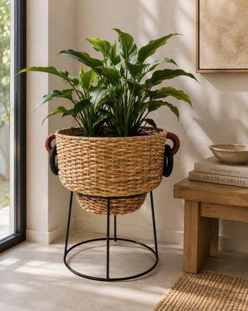 Vaas - IJzer, Rattan