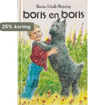BORIS EN BORIS - M. Schalk Meyering 9789033107092, Verzenden, Gelezen, M. Schalk Meyering