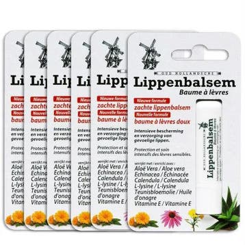 Oud Hollandsche Lippenbalsem - 6 stuks, Verzenden, Nieuw