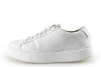 Blackstone Sneakers in maat 37 Wit, Kleding | Dames, Schoenen, Verzenden, Wit, Sneakers of Gympen, Blackstone