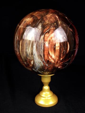 Fossiel hout - Gefossiliseerd hout - Araucaria - 14.32 cm -, Verzamelen
