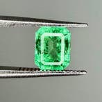 Groen Smaragd - 1.44 ct - International Gemological, Nieuw