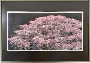 Weeping cherry 7 - Hajime Namiki  (b 1947) - Japan