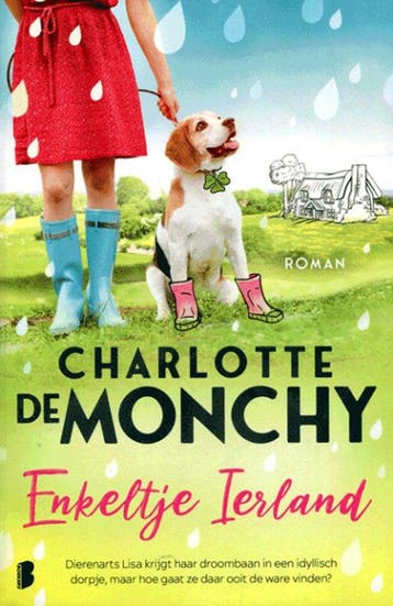 Enkeltje Ierland - 2023 Roman Boek - Charlotte de Monchy, Verzenden, Zo goed als nieuw, Charlotte de Monchy