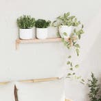 vidaXL Wandhangrek Naturel 62 x 10 x 12,5 cm Massief, Huis en Inrichting, Verzenden, Nieuw