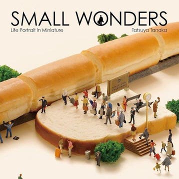 Small Wonders: Life Portrait in Miniature - Tatsuya Tanaka, Verzenden, Zo goed als nieuw, Tatsuya Tanaka