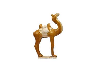 Oud Chinees, Tang-dynastie Terracotta Zeldzame en goed