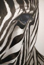 Monicart - Occhio di zebra