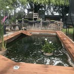 Voordeelset sterke aluminium LED grondspots op zonne-energie, Verzenden, Minder dan 50 watt, Nieuw, Rvs