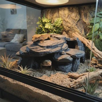 Realistische Rots Grot Decoratie voor Aquarium & Terrarium -, Dieren en Toebehoren, Verzenden, Nieuw