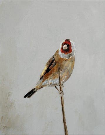 Matthieu van Riel - Putter
