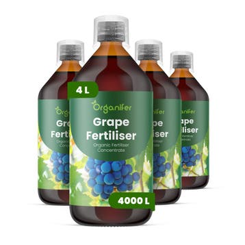 Druif vloeibare meststof - Set 4x1 liter, Verzenden, Mest