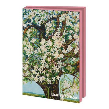 Kaartenmapje met env, groot: Charley Toorop, Museum More, Ophalen of Verzenden, Gelopen