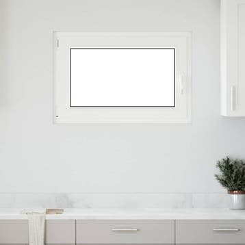 vidaXL Kantel- en draaivenster voor de kelder RISOR 100 x 50, Doe-het-zelf en Verbouw, Glas en Ramen, Verzenden, Nieuw