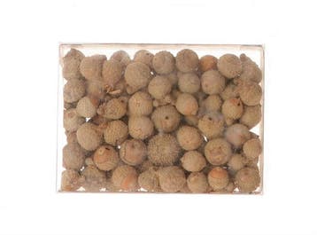 Acorn Eikeltjes rond naturel 100 gram Eikeltjes, Ophalen of Verzenden, Nieuw