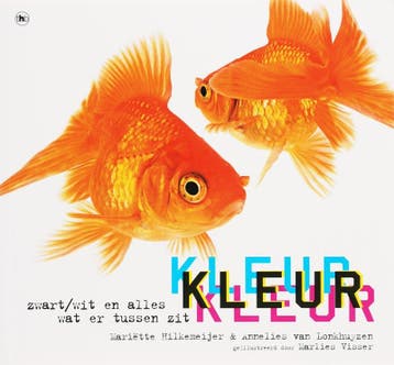 Kleur - M. Hilkemeijer 9789044310481, Verzenden, Gelezen, M. Hilkemeijer