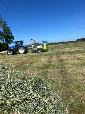 Midi balen voordroog hooi ( Genummerd en met analyse! ), Dieren en Toebehoren, Vee