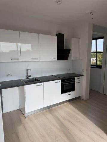 Te huur: Studio Singravenlaan in Arnhem, Gelderland, Arnhem