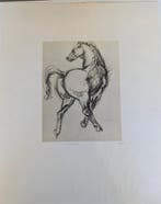 Francesco Messina (1900-1995) - Cavallo in movimento