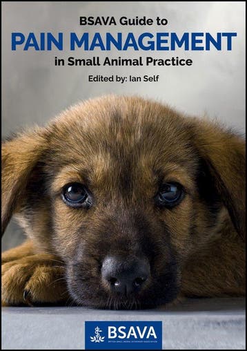 9781910443002 BSAVA Guide to Pain Management in Small Ani..., Boeken, Verzenden, Nieuw, I Self