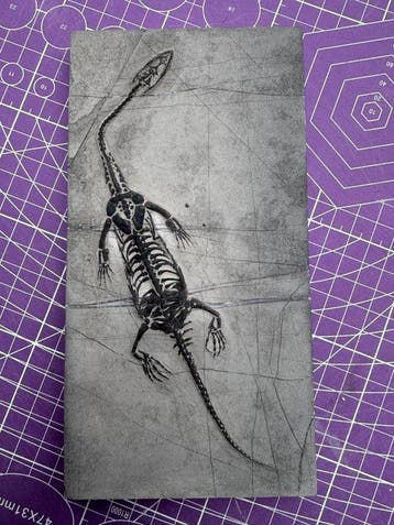 Fossiel reptiel: Keichousaurus – zeldzaam getuigenis uit het