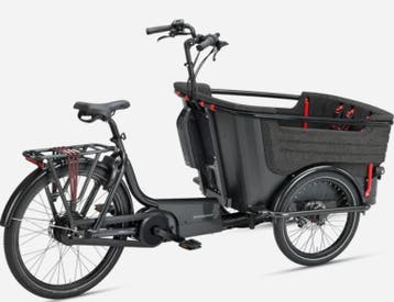 Zgan BATAVUS FIER Bakfiets 3 wieler 500km 85Nm motor, Elektrisch, Zo goed als nieuw, Schijfrem, Ophalen