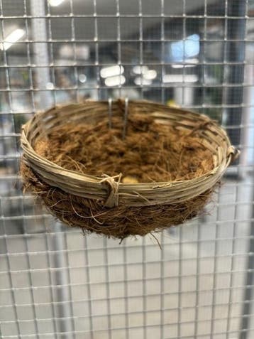 4340 kanarie nest cocos pitriet klein, Ophalen of Verzenden, Nieuw