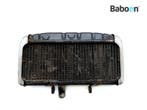 Radiateur Suzuki GT 750 LC 1971-1973 (GT750), Verzenden, Gebruikt
