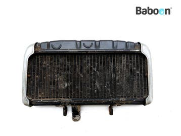 Radiateur Suzuki GT 750 LC 1971-1973 (GT750), Motoren, Verzenden, Gebruikt
