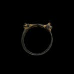 Middeleeuwen, kruisvaardersperiode Brons Unieke Leeuwenmond-