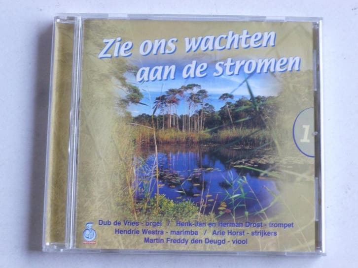 Dub de Vries - Zie ons wachten aan de stromen, Cd's en Dvd's, Cd's | Religie en Gospel, Zo goed als nieuw, Ophalen of Verzenden