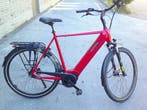 Actie Pegasus Ravenna Evo heren model 2025  (750 korting !!), Overige merken, Nieuw, Ophalen of Verzenden, 51 tot 55 cm