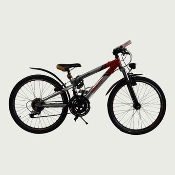 BikeFlip kinderfiets 24 inch, Fietsen en Brommers, Fietsen | Kinderfietsjes, Ophalen of Verzenden, Gebruikt, BikeFlip