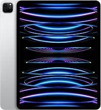 Apple iPad Pro 12,9 128GB [wifi, model 2022] zilver, Computers en Software, Apple iPads, Verzenden, Zo goed als nieuw, 128 GB