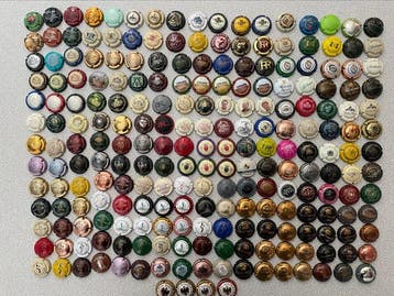 Themacollectie - 225 Champagnecapsules met letter R