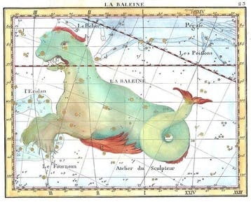 Astronomy, Costellations - Cetus; Flamsteed / Fortin - La, Nieuw