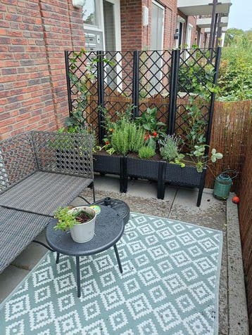 Te huur: Appartement Poolsestraat in Boxtel, Boxtel, Noord-Brabant, Appartement
