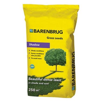 Graszaad schaduw | Barenbrug | Shadow | 250 m², Verzenden, Nieuw