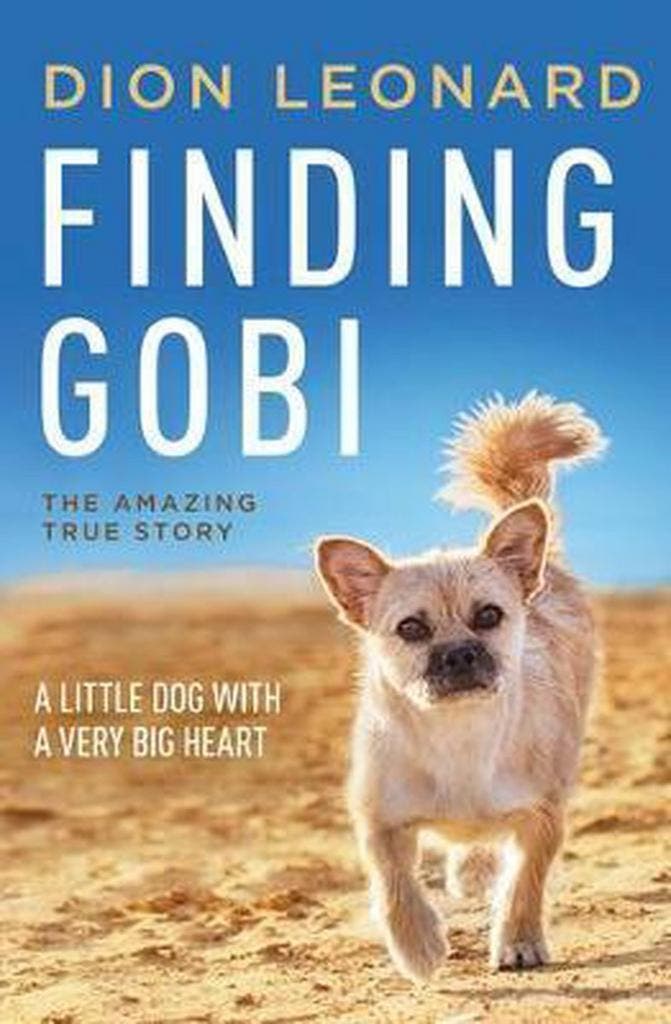 Finding Gobi - Dion Leonard 9780718098575, Boeken, Taal | Engels, Gelezen, Verzenden