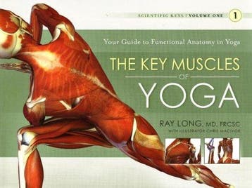 Key Muscles of Yoga - Ray Long 9781607432388, Verzenden, Gelezen, Ray Long