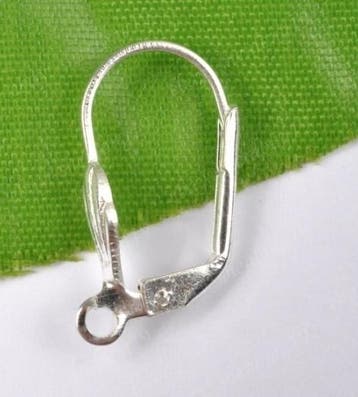 2 x Oorbellen haakjes 18 x 10 mm – oogje 2 mm – zilverkl, Ophalen of Verzenden, Nieuw, Overige typen