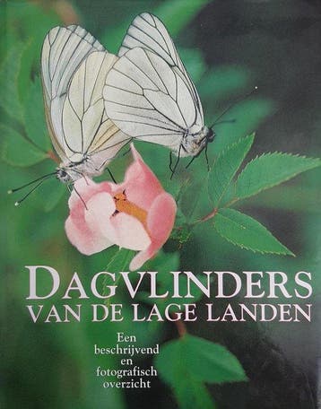 Dagvlinders van de lage landen - JAN HUISINGA 9789068251302, Boeken, Verzenden, Gelezen, JAN HUISINGA