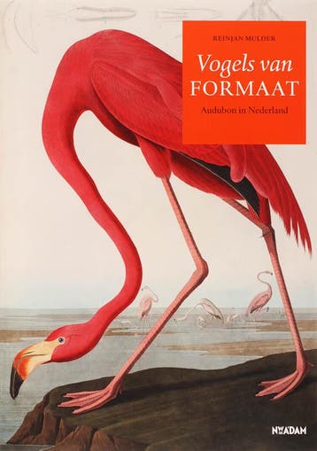 Vogels van formaat - Robert Mulder 9789046803257, Verzenden, Gelezen, Robert Mulder