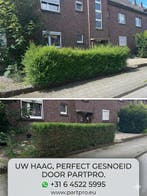 Terrein / Tuin onderhoud Nijmegen Wijhen Arnhem, Garantie, Tuinonderhoud of Snoeiwerk