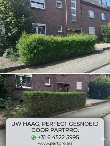 Terrein / Tuin onderhoud Nijmegen Wijhen Arnhem, Diensten en Vakmensen, Tuinmannen en Stratenmakers, Garantie, Tuinonderhoud of Snoeiwerk