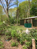 Stacaravan Tiny House te koop in Bospark aan het Bomenpark