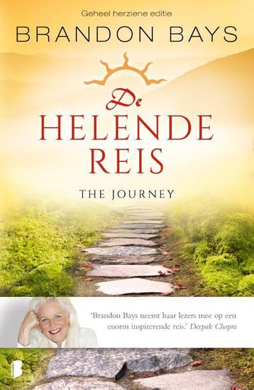 De helende reis - Brandon Bays 9789022571835, Boeken, Verzenden, Zo goed als nieuw, Brandon Bays